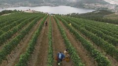 Terrenos de Vi�a Costeira