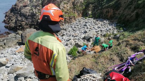 Rescatan a una vaca en helic�ptero en Tapia de Casariego