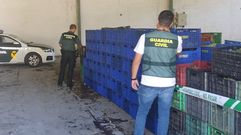 La uva incautada est� en una nave en O Barco.