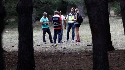 Grupos de familiares y amigos ya est�n haciendo batidas