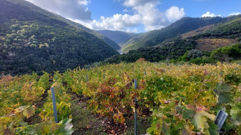 VIas de O Eivedo, en primer trmino y de Val do Frade, a la derecha
