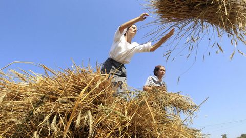 Las fotos de la Festa da Malla de Tuiriz 2024