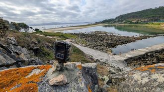 El trabajo se desarrolla en la laguna aislada del mar entre las islas de Faro y Monteagudo