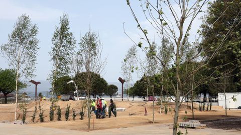 El arbolado ya se est� haciendo presente en la recuperaci�n de O Ramal para la fachada mar�tima de Vilagarc�a