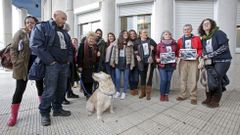Juicio contra el exdue�o de Life por maltrato animal