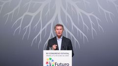 Alberto N��ez Feijoo, en el congreso estatal de Unidad Progresista de la ONCE.