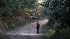 Un peregrino solitario en el tramo del camino de Invierno que entra en el municipio de Monforte desde A Pobra do Broll�n