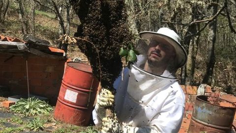 Miguel Rodr�guez en pleno proceso de captura dun enxame silvestre,  o m�todo co que montou a maior parte das s�as primeiras colmeas