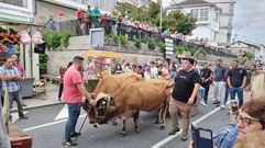 El desfile de carros es uno de los actos m�s concurridos.