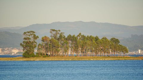 Desde la playa boirense de Mañóns es posible llegar, cuando la marea está baja, a la isla Ostreira