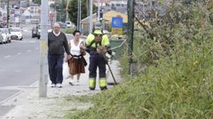 Limpieza de maleza Coru�a