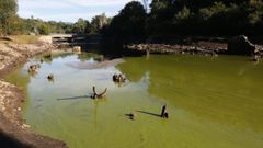 La cola del embalse del Umia, que est� en alerta por cianobacterias y tiene una ocupaci�n del 47 %