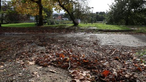 El viento provoc que cayesen numerosas hojas de los rboles de parques y jardines