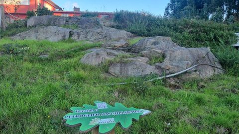 Petroglifo de Millaradas