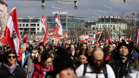 Protestas en Viena