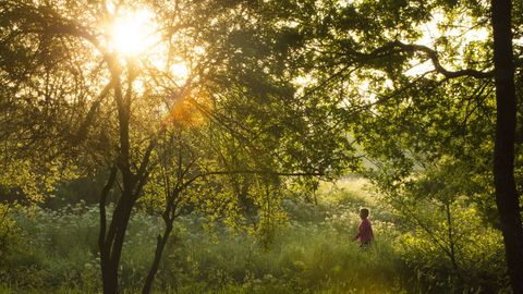 Paseos al amanecer del primer d�a de la fase 1, en Carballo