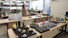 El Colegio Diocesano San Lorenzo volvi� a participar este a�o en la feria cient�fica.