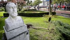 Imagen del busto de Eduardo Pondal ayer con el pino ca�do
