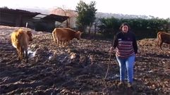 �Me obligan a matar las vacas porque soy mujer�