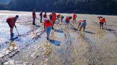 Mariscadores a pie de Noia haciendo surcos en Testal para la resiembra de bivalvo