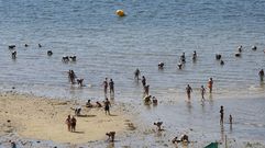 Imagen de archivo del marisqueo ilegal furtivo