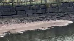 Vertido Pontecesures