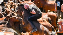 Las mejores imgenes de la rapa das bestas de Sabucedo