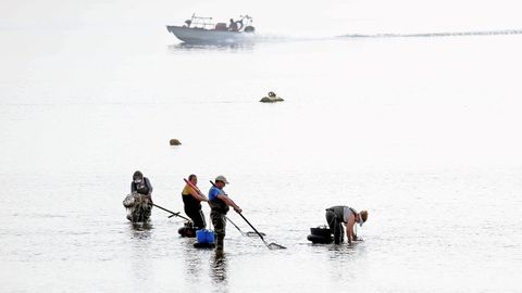Mariscadores en la playa de Os Areos