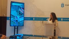 La alcaldesa de A Corua, Ins Rey, durante la rueda de prensa de este mircoles