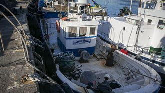 Barco Panchito Segundo de Portos�n, que ser� dado de baja