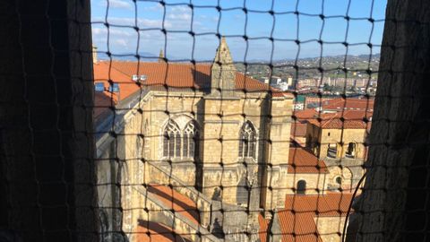 Vista de la torre vieja de la Catedral de Oviedo, donde en un principio se ubicaba la Bamba