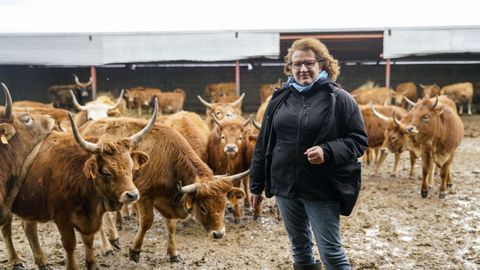 Teresa Gayoso con las vacas cachenas de su nueva explotaci�n