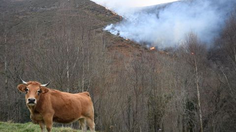 Un incendio en Abla�a
