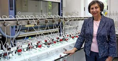 Tarsy Carballas sigue trabajando como investigadora del CSIC a sus 78 a�os y sin cobrar.