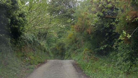 Un tramo del camino alternativo para llegar al colegio, que no se puede usar para el transporte escolar