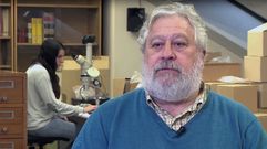 Marco de la Rasilla.Marco de la Rasilla