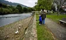 En el �rea de recreo de A Xunqueira abundan las aves migratorias y los p�jaros.