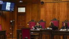 La acusada compareci� por videoconferencia al juicio en la Audiencia Provincial de Ourense