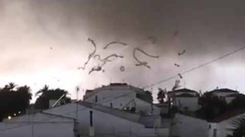 Tornado en Palos de la Frontera