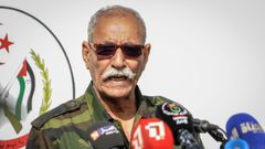 El l�der del Polisario, Brahim Ghali
