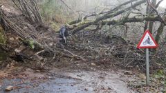 Los efectos del temporal en la comarca