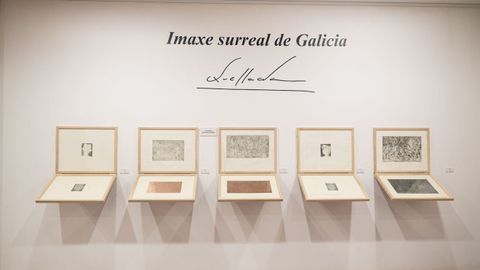 Parte da exposici�n de Quessada en MUGART