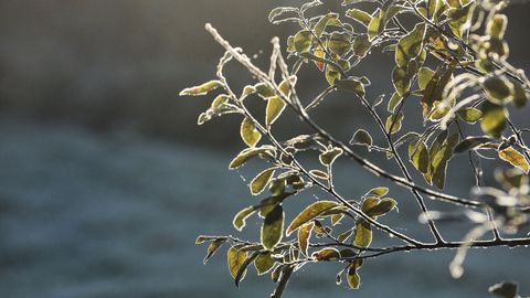 0 grados en Abegondo (A Coru�a)