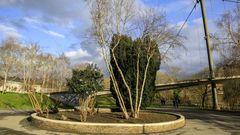 Mejoras del Murami�ae Rehabilita con reforma de la rotonda del Paseo do Mi�o