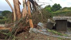 Con la fuerza de las ra�ces, al desprenderse, se levant� el suelo de pizarra