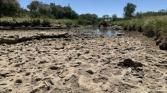 El r�o Guadiamar, principal proveedor de agua natura de Do�ana, presenta un aspecto seco