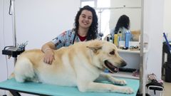 Ux�a, en el local reci�n estrenado, dice que hay perros �<span lang= gl >moi fachendosos</span>�