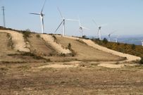 Los trabajos incluyeron el desbroce de las pistas en la zona