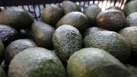 La venta de aguacate no ha dejado de crecer en los &uacute;ltimos a&ntilde;os, donde destaca M&eacute;xico como el gran productor mundial