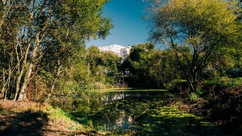 La laguna de Cornes est� pr�xima a las v�as del tren.